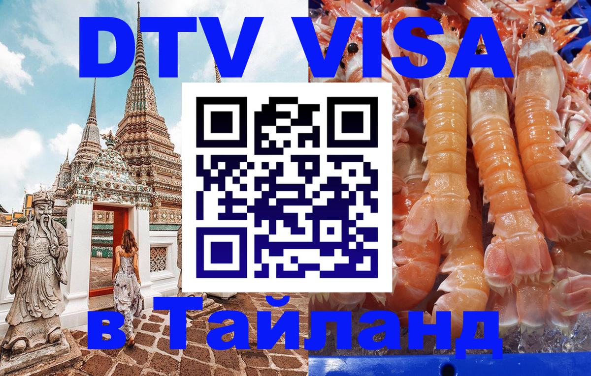 Оформление DTV визы под ключ: стоимость и тарифы, только загранпаспорт - 